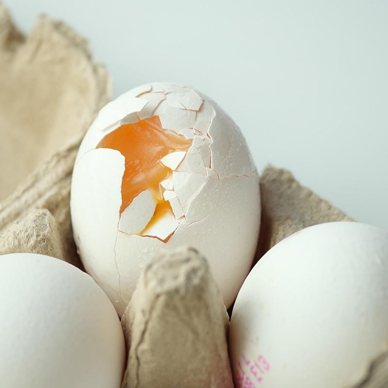 Kt kokan yumurta zehirler mi? Meer ok byk bir sinyal veriyormu