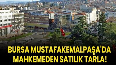 Bursa Mustafakemalpaşa'da mahkemeden satılık tarla!