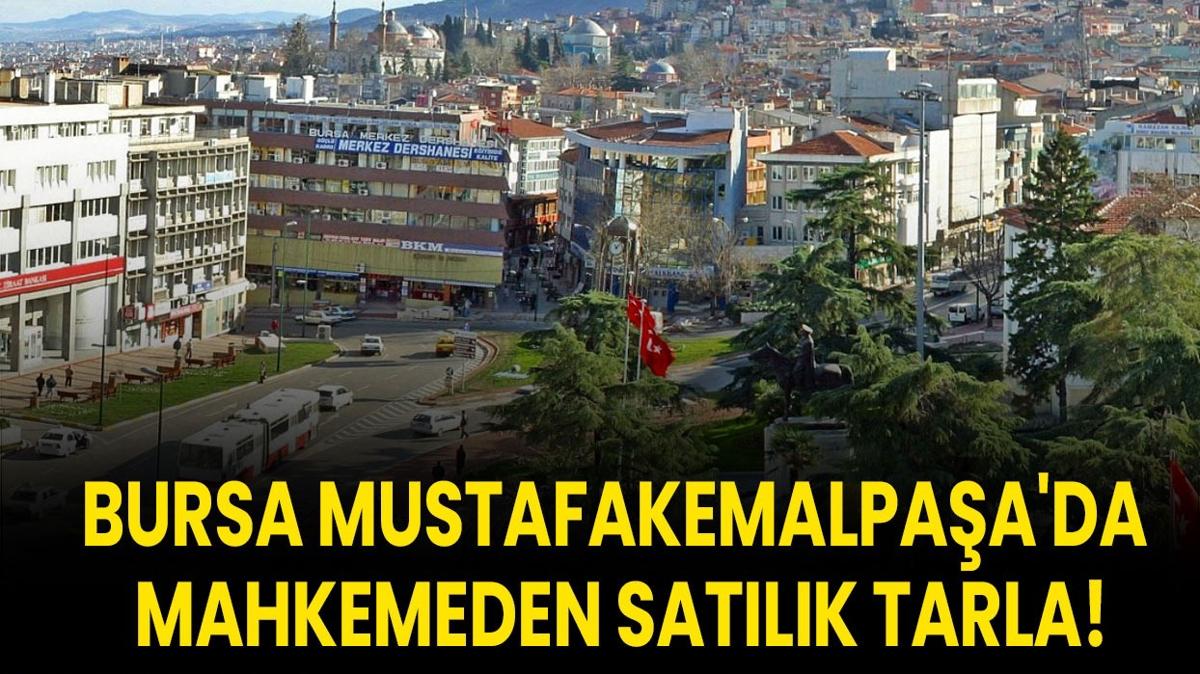 Bursa Tarla Sat Mustafakemalpaa Arsa Mahkeme lan fotoraflar resimleri