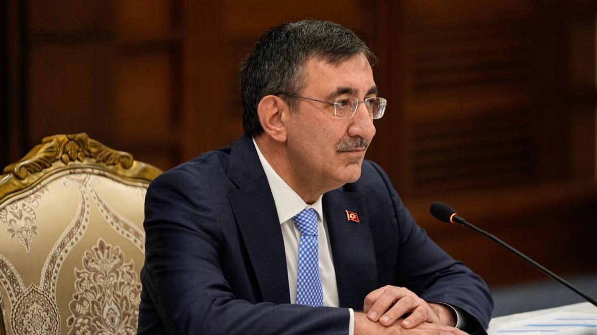 Cumhurbakan Yardmcs Cevdet Ylmaz Cevdet Ylmaz kadna iddet fotoraflar resimleri