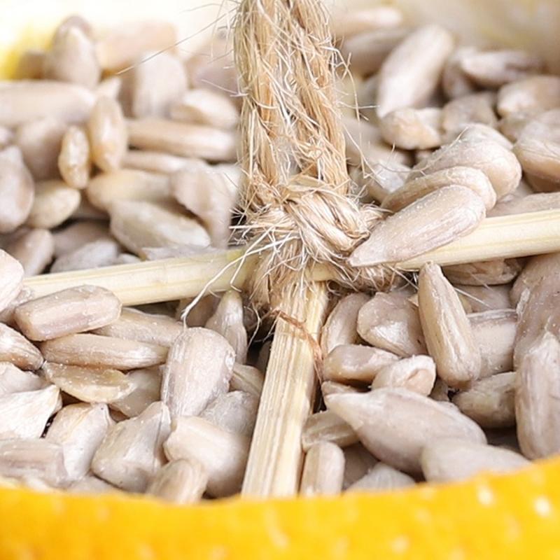 ekirdei suyundan faydal: Demleyip her gn iin! Kanser riskini azaltyor