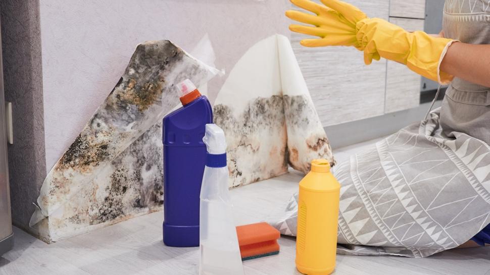 Evde küfü önlemek için 5 basit yöntem