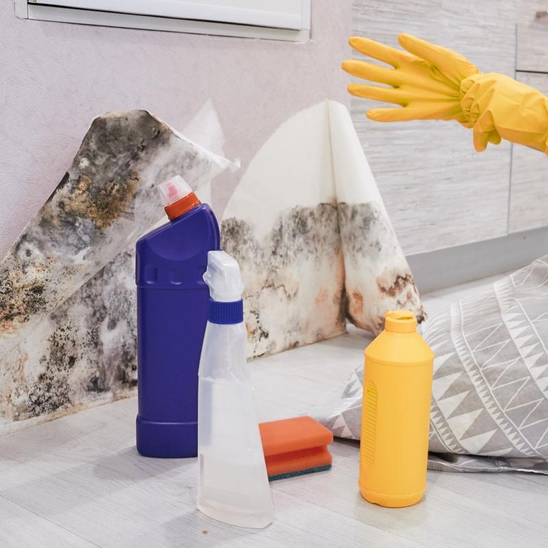 Evde kf nlemek iin 5 basit yntem