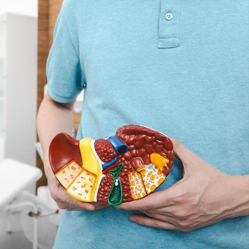 Karacieri bitiren gizli tehlike: Gdalara dikkat, yalandryor