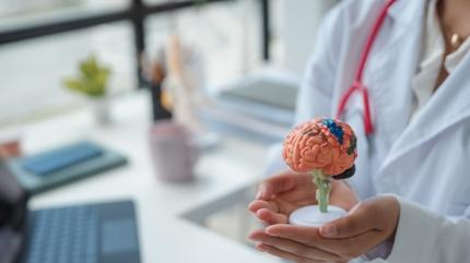 Beynin en verimli a belli oldu: Bu ya aral...