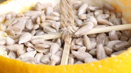 ekirdei suyundan faydal: Demleyip her gn iin! Kanser riskini azaltyor