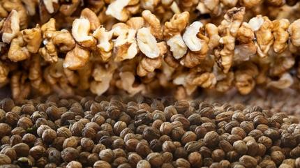 Kalbe faydal diye herkes avu avu yiyor! Meer akcierleri rtyormu