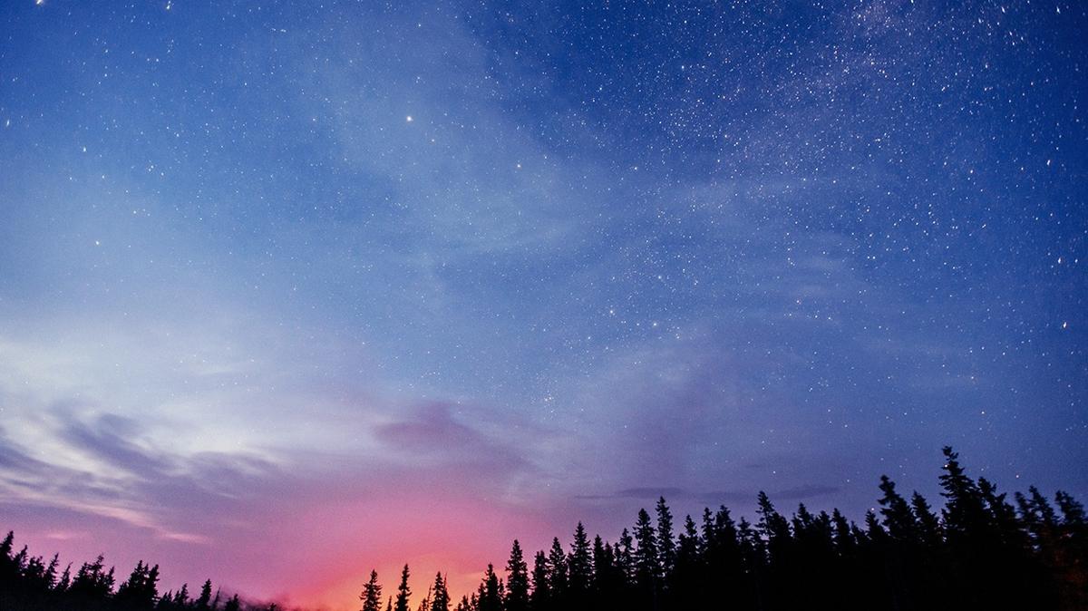 bur yorumu aceleci gnlk bur yorumlar fotoraflar resimleri