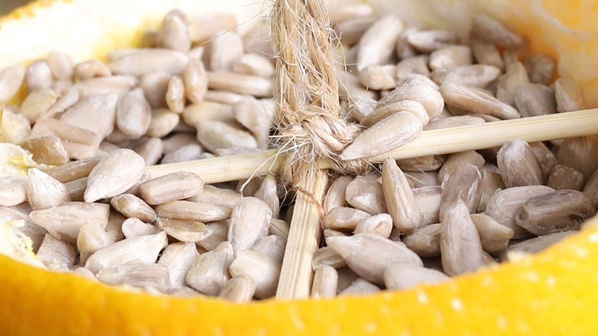 limon ekirdei  kanser riski  salk faydalar limon fotoraflar resimleri