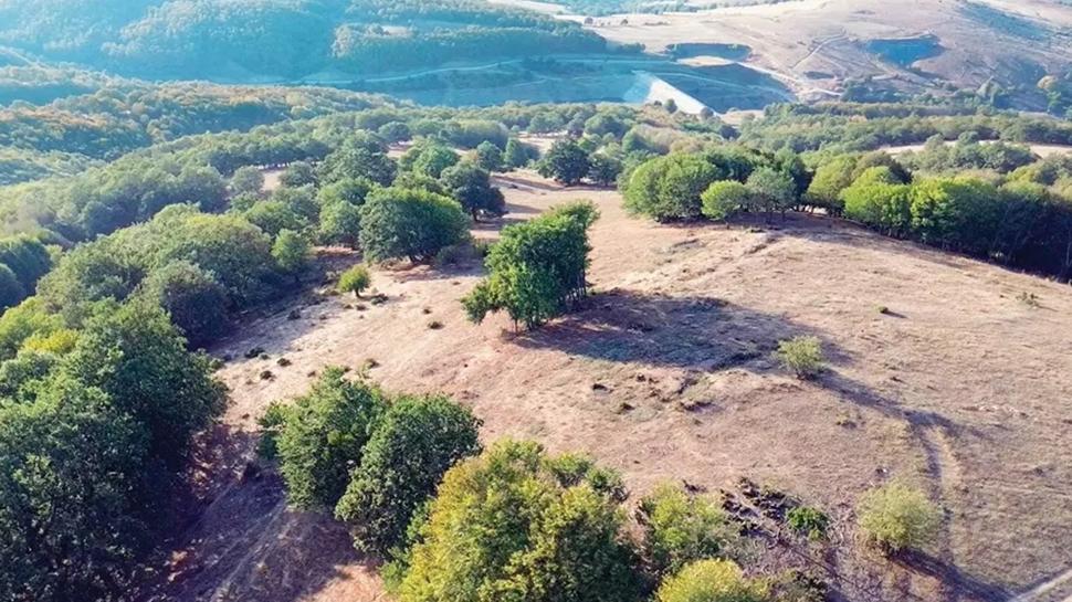 nn'nn kayp siperleri bulundu