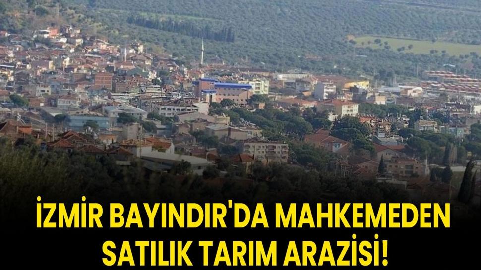 İzmir Bayındır'da mahkemeden satılık tarım arazisi!