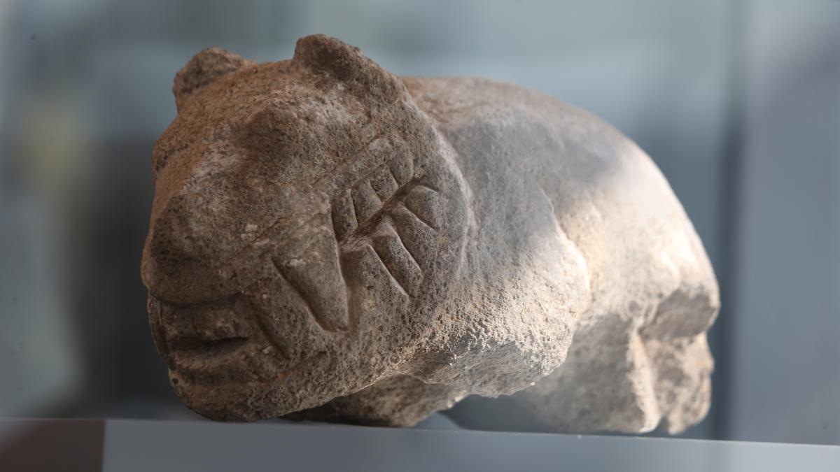 Ta Tepeler Projesi  Gbeklitepe arkeoloji fotoraflar resimleri