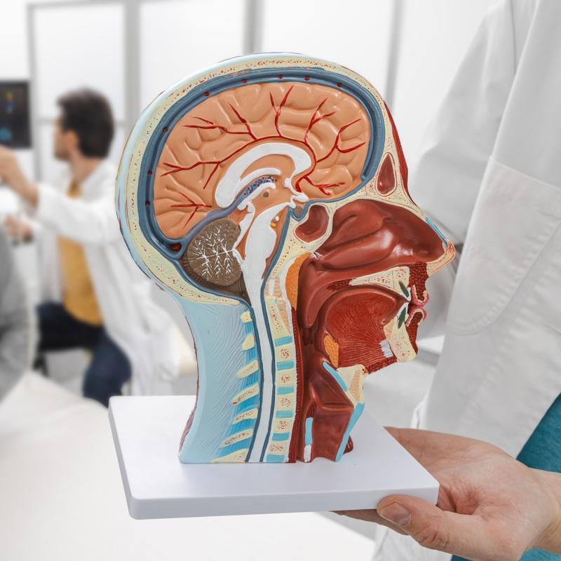 Hafzann siperi 4 tavsiye: Balk ya ve ceviz deil