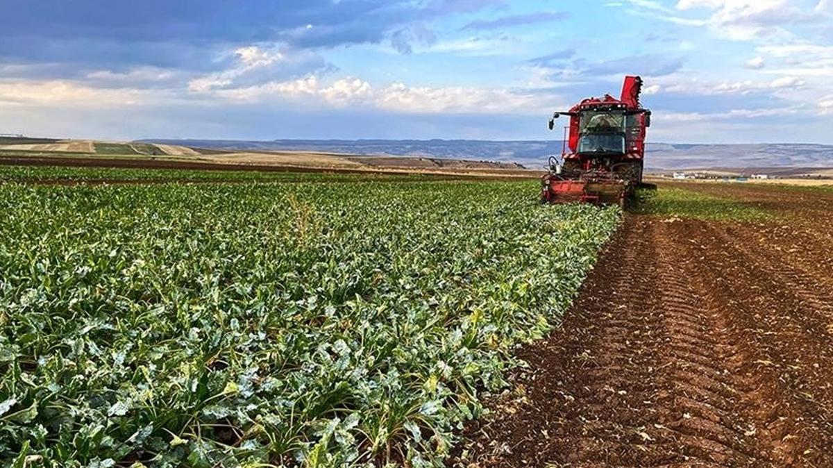 yumakl destek milyonluk fotoraflar resimleri