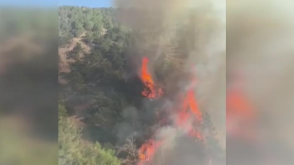 Hatay'da orman yangını! Çok sayıda ekip sevk edildi