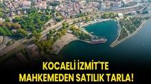 Kocaeli zmit'te mahkemeden satlk tarla!