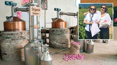 Gl bahesinden global raflara