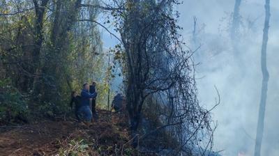 Ziraat alannda kan yangn ormana srad: 5 hektarlk alan kle dnd