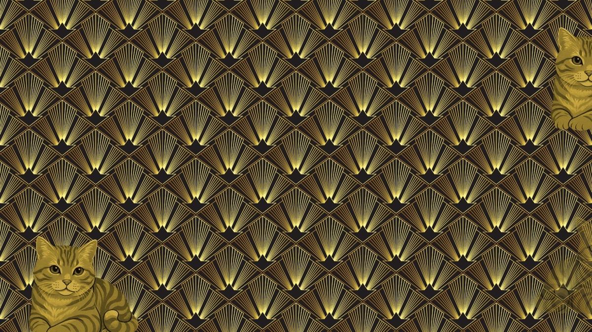 grsel zeka testi zeka testi test 3.kedi nerede fotoraflar resimleri