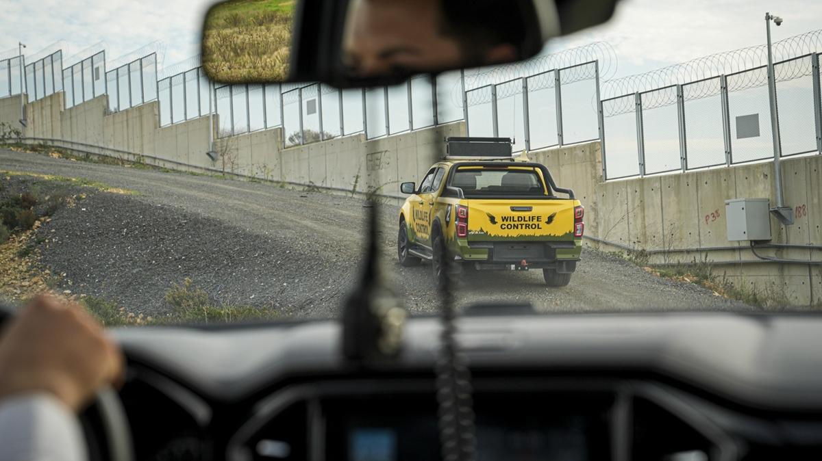 uu gvenlii ku ve yaban hayvanlar gzlem fotoraflar resimleri