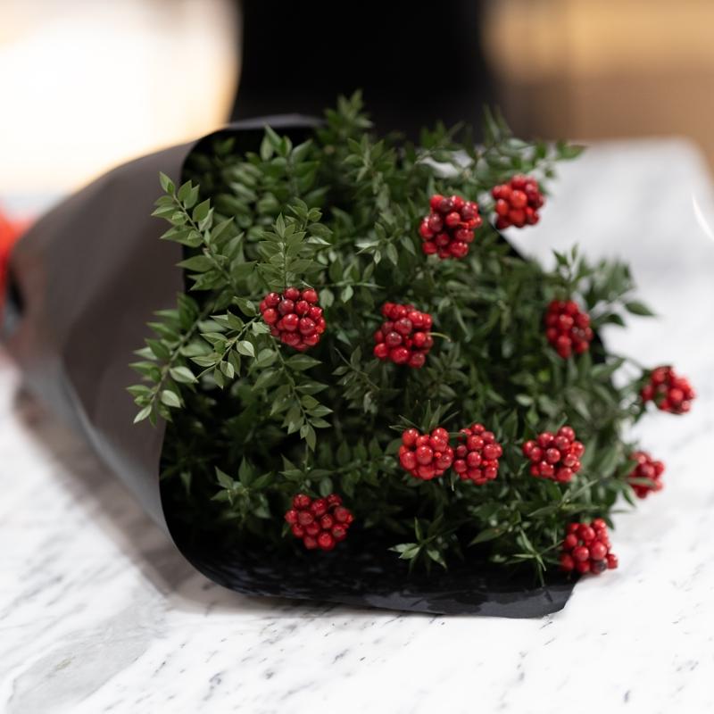 Kokina ieinin anlam ne? Herkes neden kokina alyor?