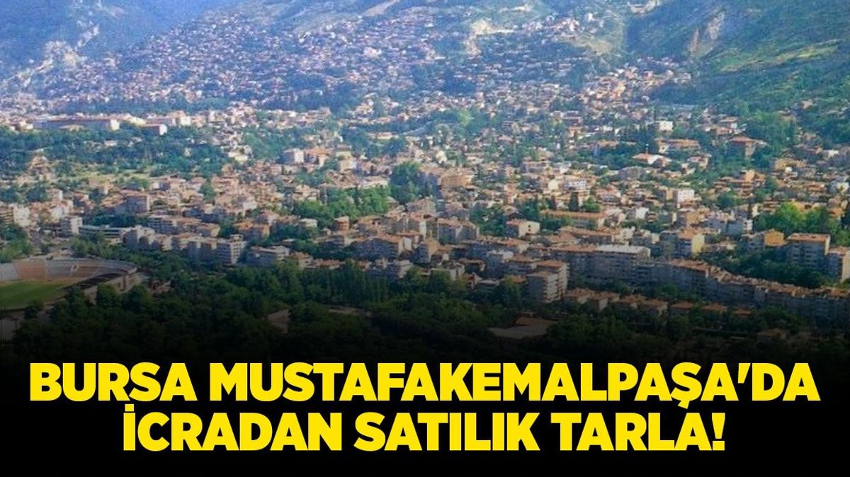 bursa mustafakemalpaa tarla icradan satlk tarla icra ilanlar fotoraflar resimleri