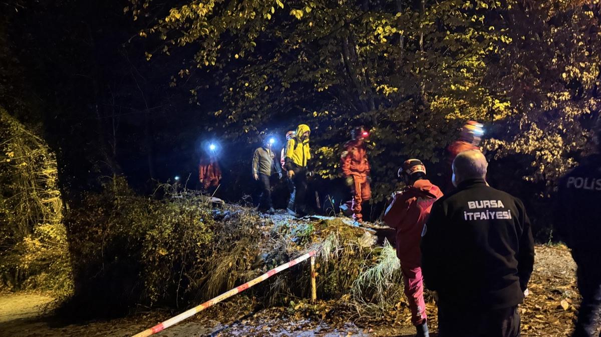 bursa doa yry orman fotoraflar resimleri