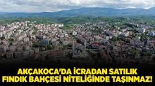 Dzce Akakoca'da icradan satlk fndk bahesi niteliinde tanmaz!