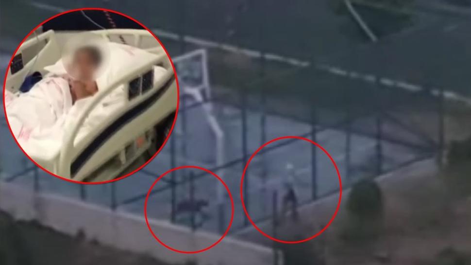 Oyun parkında pitbull dehşeti! Sorumsuz görüntüler kan dondurdu