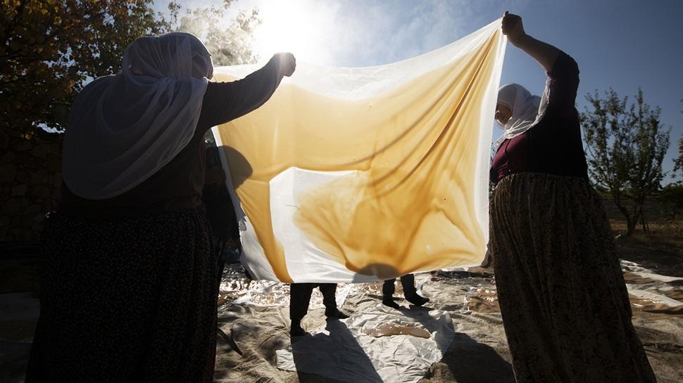 Pekmezi tahtından etti! Kahvaltıdan sonra mutlaka tüketin: Demir ambarı, kemikleri güçlendiriyor