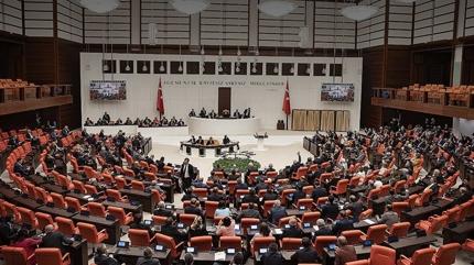 Engellilerin Meclis'teki sesi oluyorlar