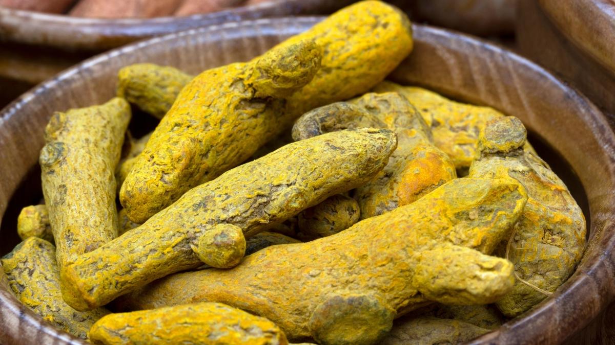 baharat altn salk fotoraflar resimleri