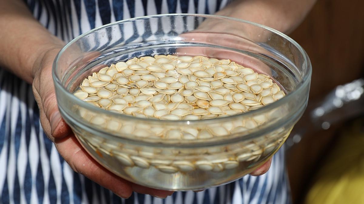 kabak ekirdei faydalar kabak ekirdei besin deeri prostat fotoraflar resimleri