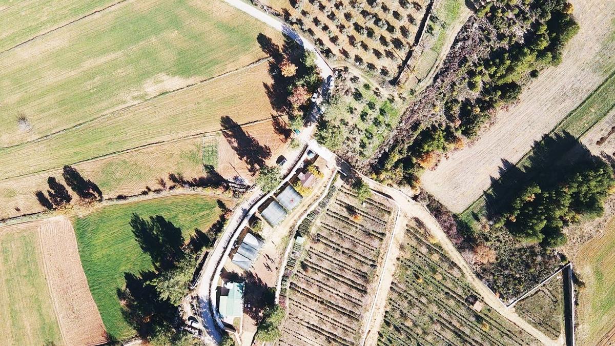 aromatik bitki retimi mula tarm ifti geliri art fotoraflar resimleri