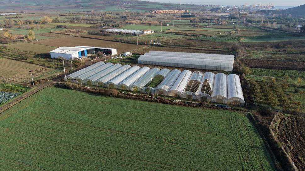 Tekirdağ'da üreticilere devlet desteği: 69 bin metrekare sera naylonu dağıtıldı