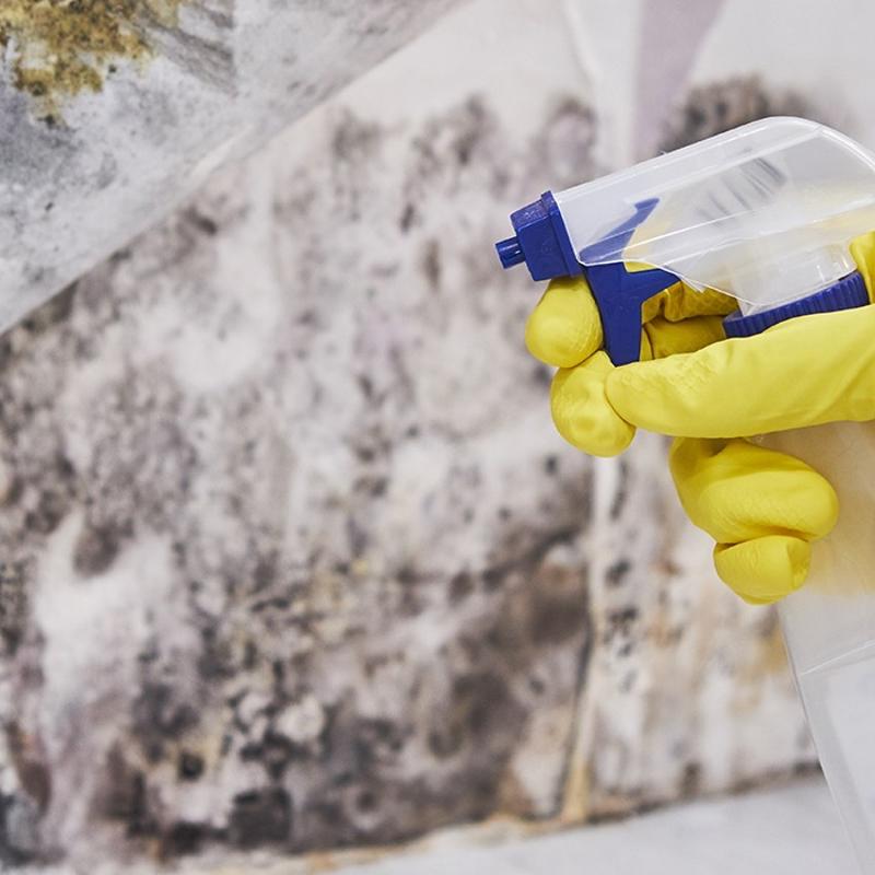 Kf ve rutubeti kknden bitiren zm! Meer bu kadar basitmi, denemeyen piman oluyor