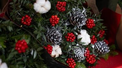 Kokina ne zaman alınır? Kokina çiçeğinin anlamı nedir?