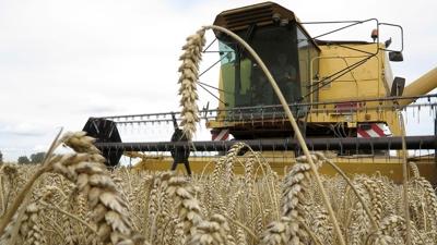 Üreticilere kasımda 376,8 milyon lira destek ödemesi