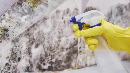 Kf ve rutubeti kknden bitiren zm! Meer bu kadar basitmi, denemeyen piman oluyor