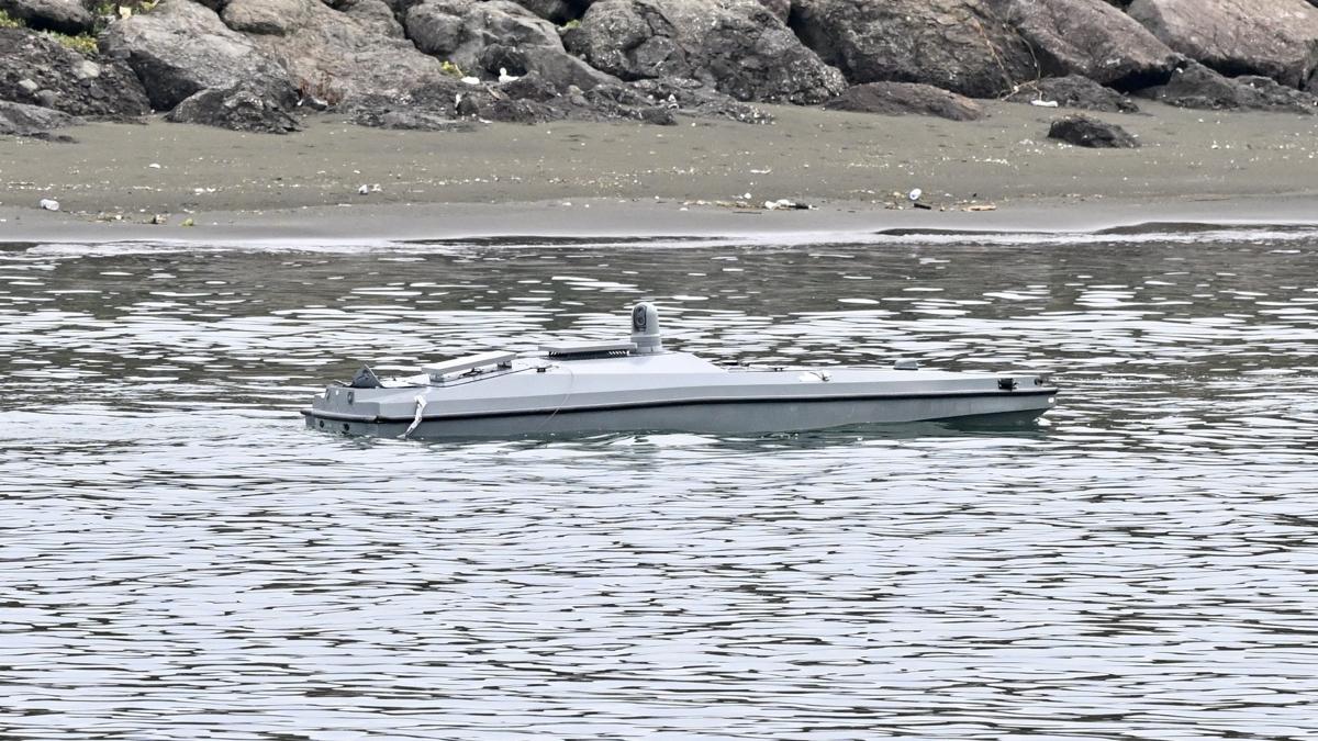Karadeniz nsansz Deniz Arac Romanya fotoraflar resimleri