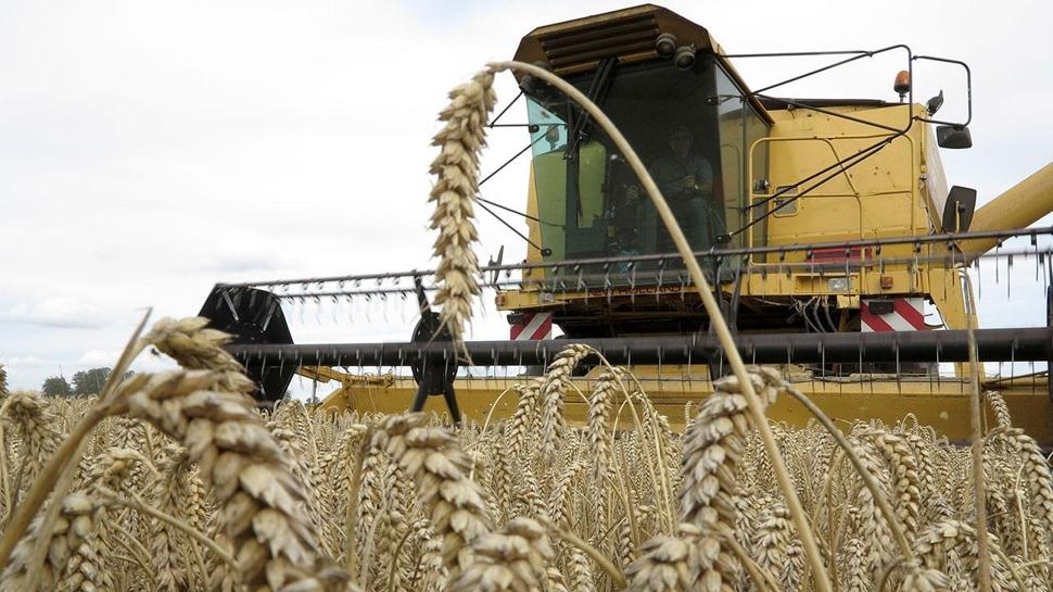 Üreticilere kasımda 376,8 milyon lira destek ödemesi