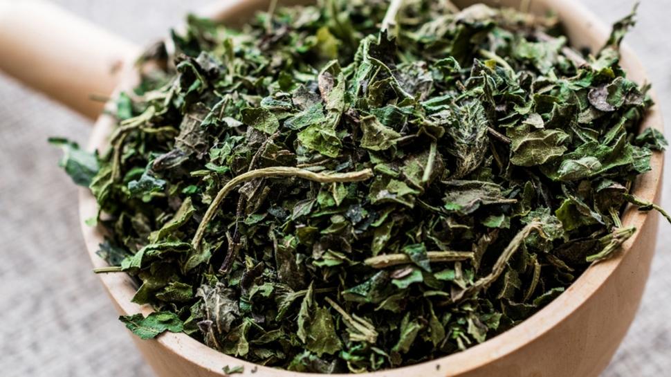 Kan tertemiz yapan bitki: Dikenlerinde ifa var, demir depolar couyor