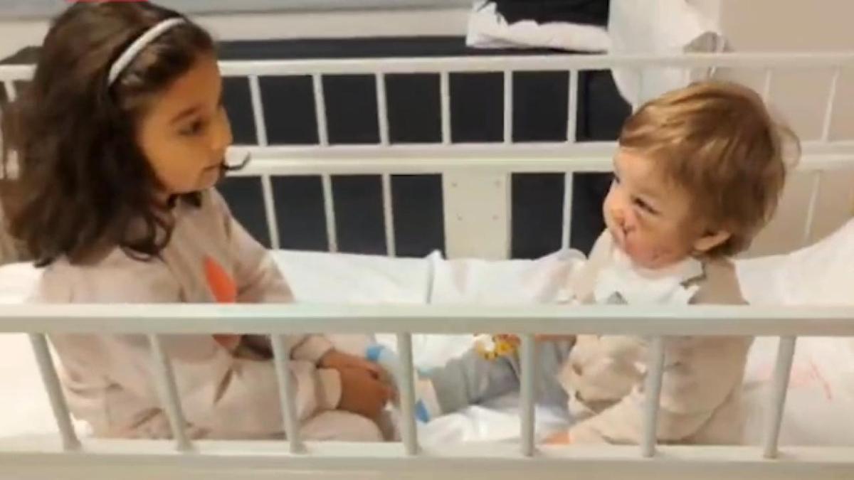 pitbull saldrs tedavi psikososyal destek fotoraflar resimleri