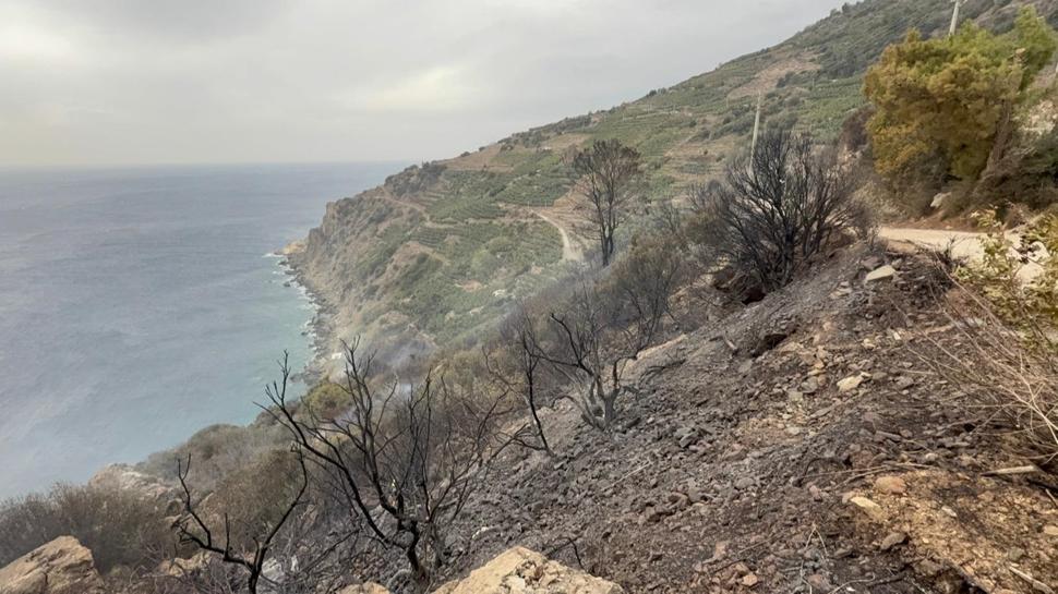 Antalya'da çıkan yangın söndürüldü