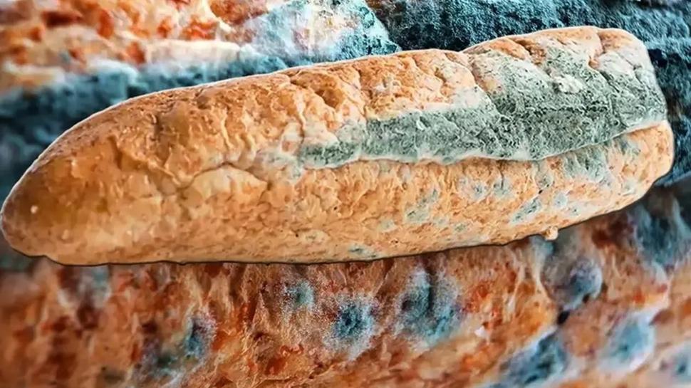 Ekmek erken kfleniyorsa bakn! Bir di ekleyince sorun zlyor...