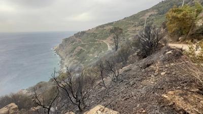 Antalya'da kan yangn sndrld