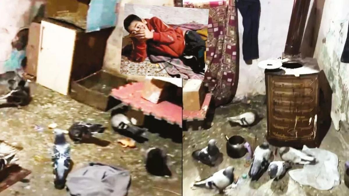 amca dram aile bakanl yoksul ocuk fotoraflar resimleri