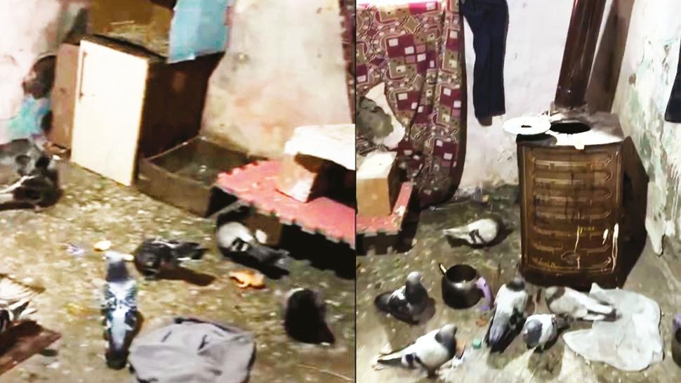 Vicdanlar kümeste mahkum!