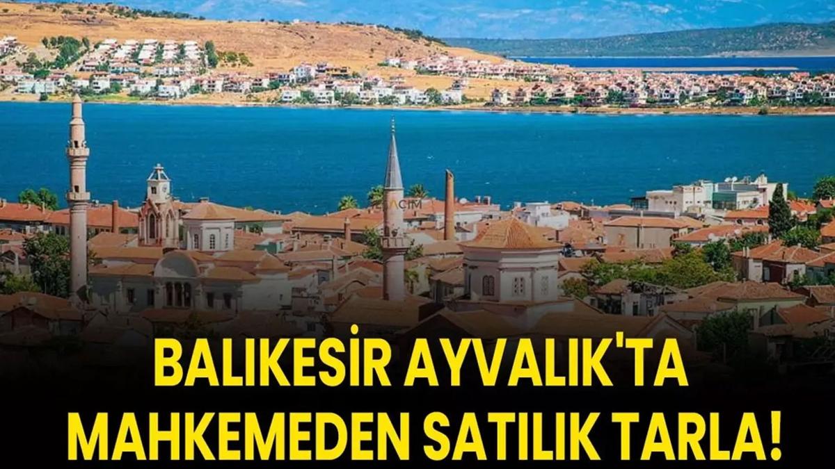 Balkesir Ayvalk tarla sat mahkeme karar fotoraflar resimleri