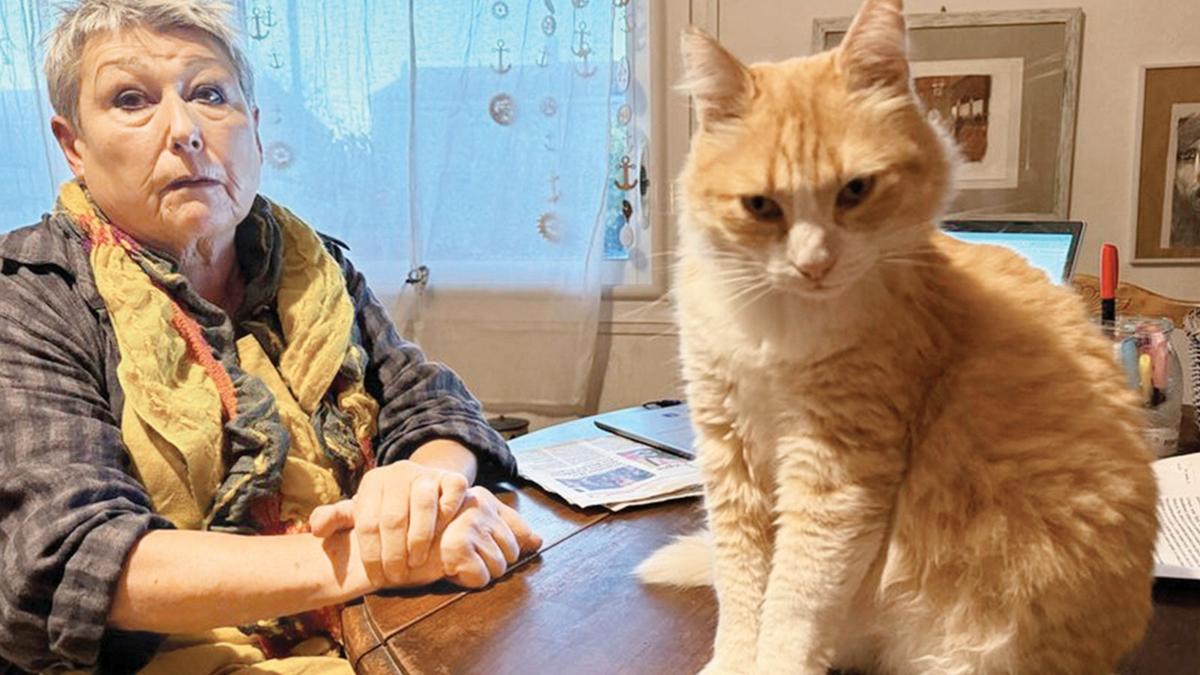 fransz dava komu kedi para cezas fotoraflar resimleri